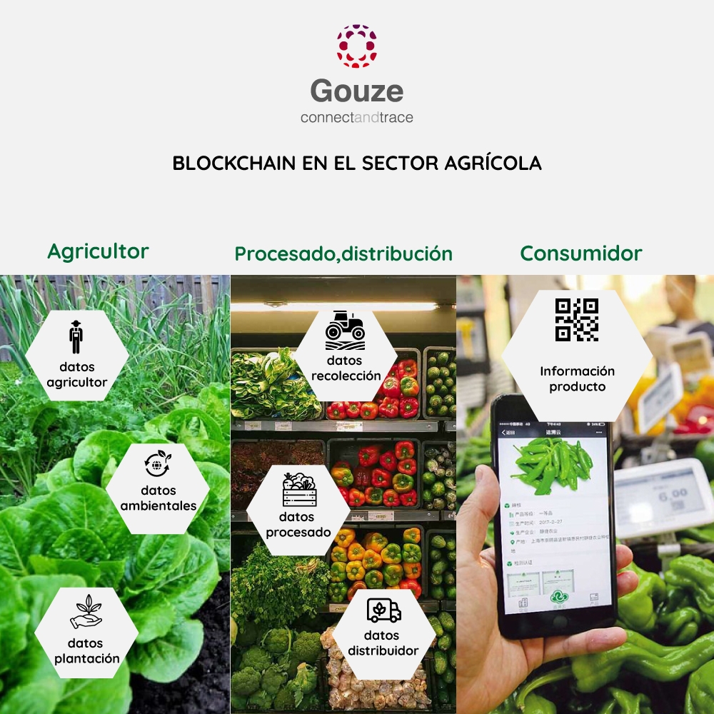 Blockchain en el sector primario. Digitalización del sector agrícola y trazabilidad de procesos y producto.