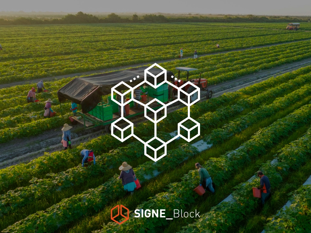 Blockchain, tras el rastro de la seguridad alimentaria