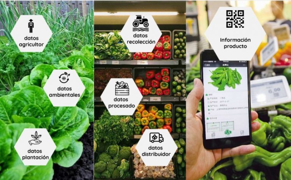 ¿Sabemos lo que comemos? Alimentos con trazabilidad blockchain